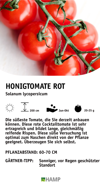 Honig Tomate Rot.jpeg