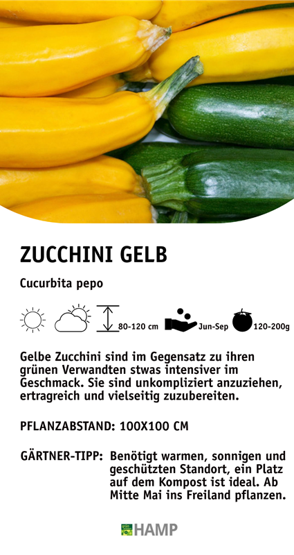 Zucchini gelb (1).jpeg