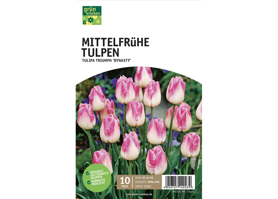 Mittelfrühe Triumph-Tulpen 