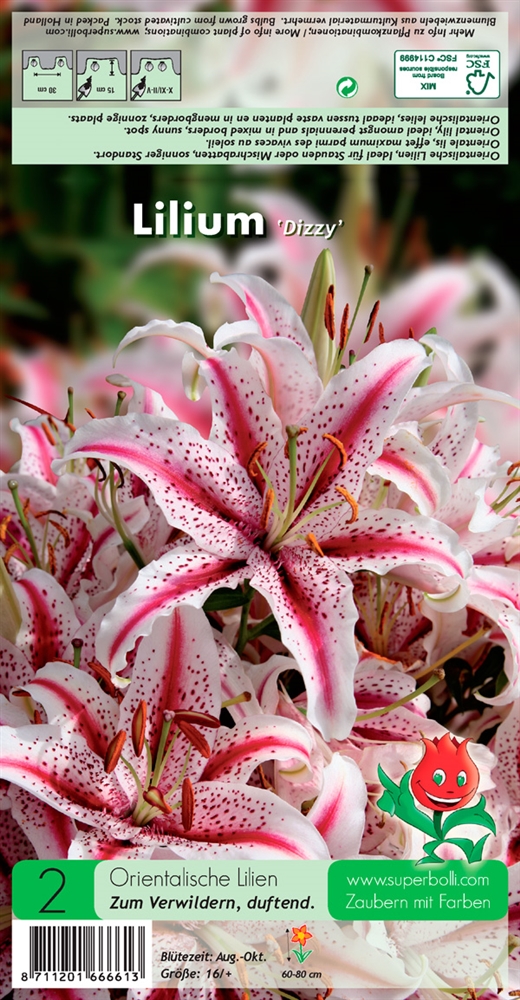 Orientalische Lilien, Grün erleben, Blumenzwiebeln Gärtnerei Hamp