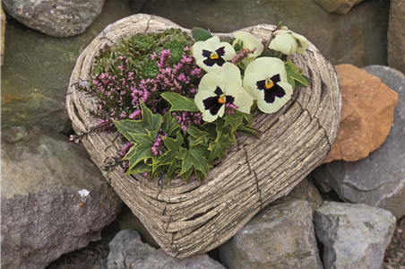 DAS GRAB IM HERBST! DAS GRAB IM HERBST!