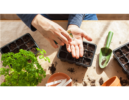 AUSSAAT, DIE AUFGEHT!