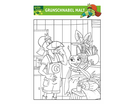 Grünschnabel Malvorlage 1 25