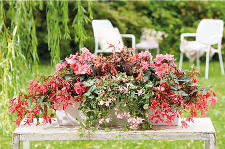 IM TREND: BALKON!