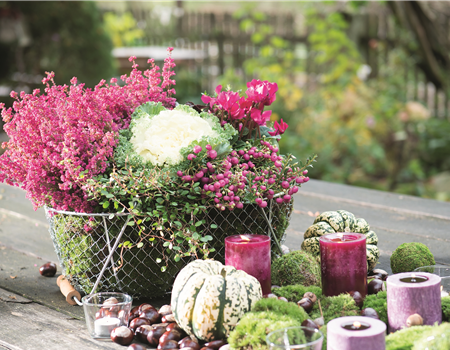 BEERENSTARKE TöNE! BEERENSTARKE TöNE!
