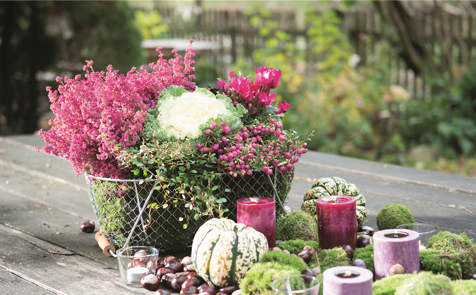 Das große Finale im Garten - Hallo Herbst
