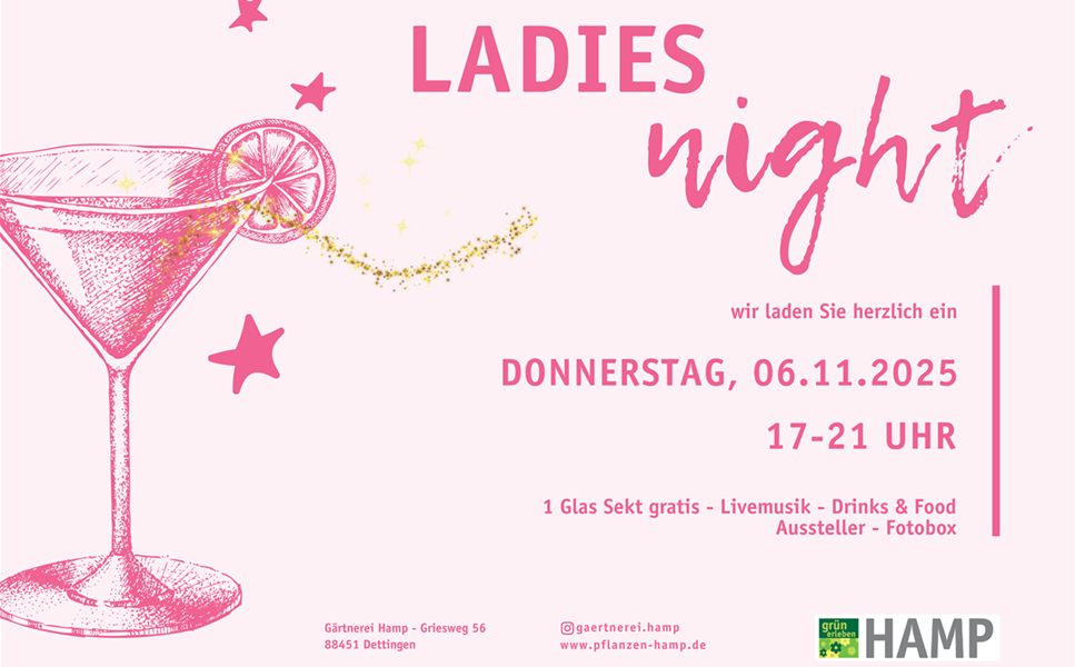 Ladies Night - Weihnachtlicher Glanz