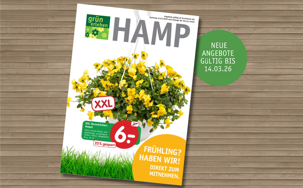 Unser erster Prospekt ist da! - Neue Angebote