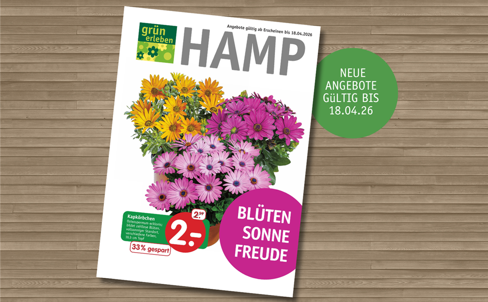 Unser neuer Prospekt ist da - Blüten-Sonne-Freude