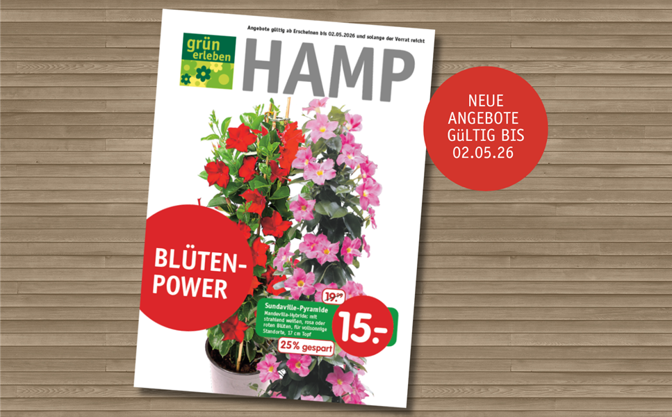 Unser neuer Prospekt ist da - Blütenpower