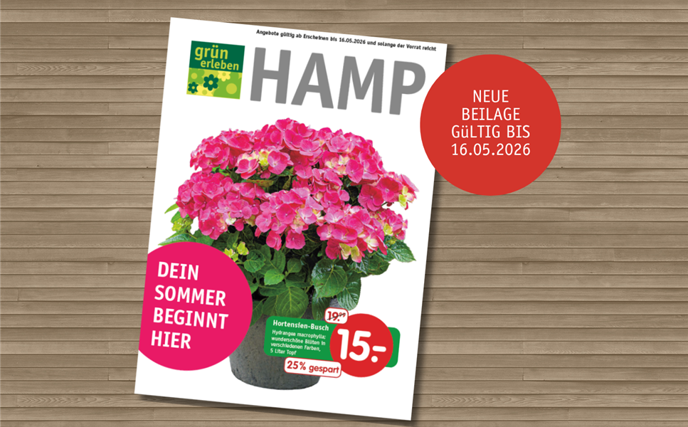 Dein Sommer beginnt hier - Neue Angebote im Prospekt