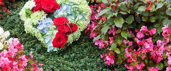 ALLERHEILIGEN - EIN FEIERTAG DER HOFFNUNG ALLERHEILIGEN - EIN FEIERTAG DER HOFFNUNG