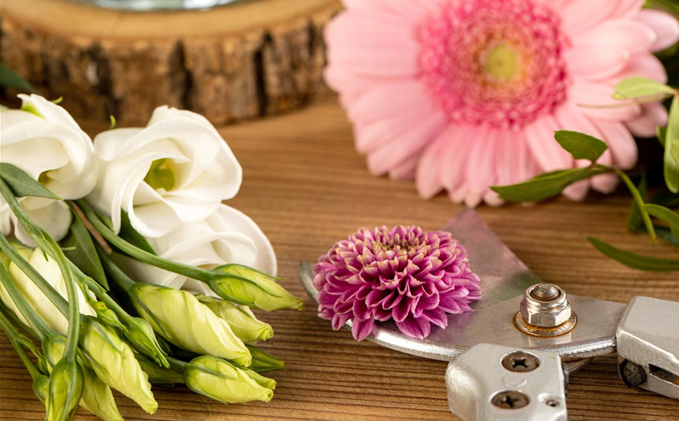 Floristik - Lass Blumen sprechen