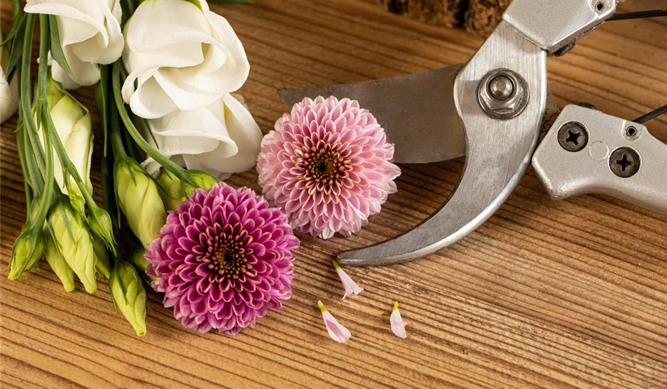 Sag`s durch die Blume - Floristik