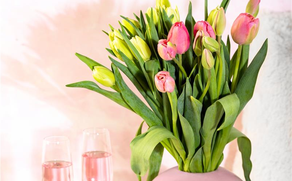 Am 14.02. ist Valentin - Ihr Valentinstags-Gruß von Hamp! 🌹