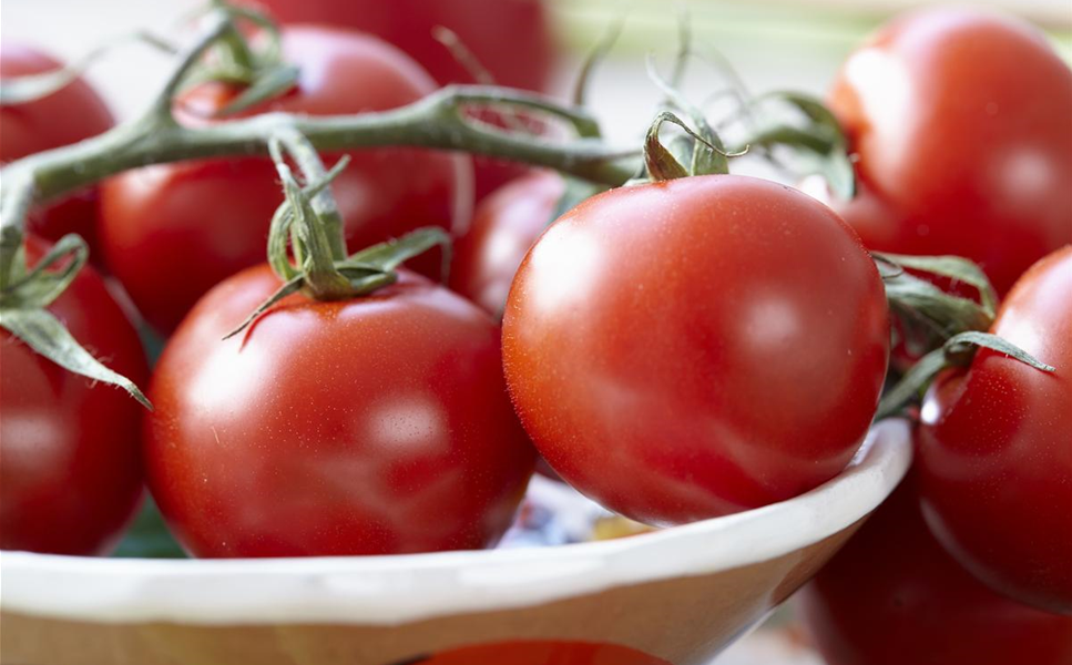 Gemüse - Unsere Eigenmarke Gemüse - Unsere Eigenmarke