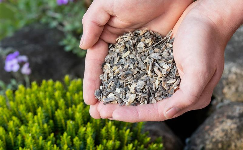 Düngen - So geht richtiges Düngen! Düngen - So geht richtiges Düngen!