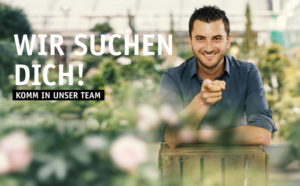 Stellenanzeigen - Wir suchen genau DICH!